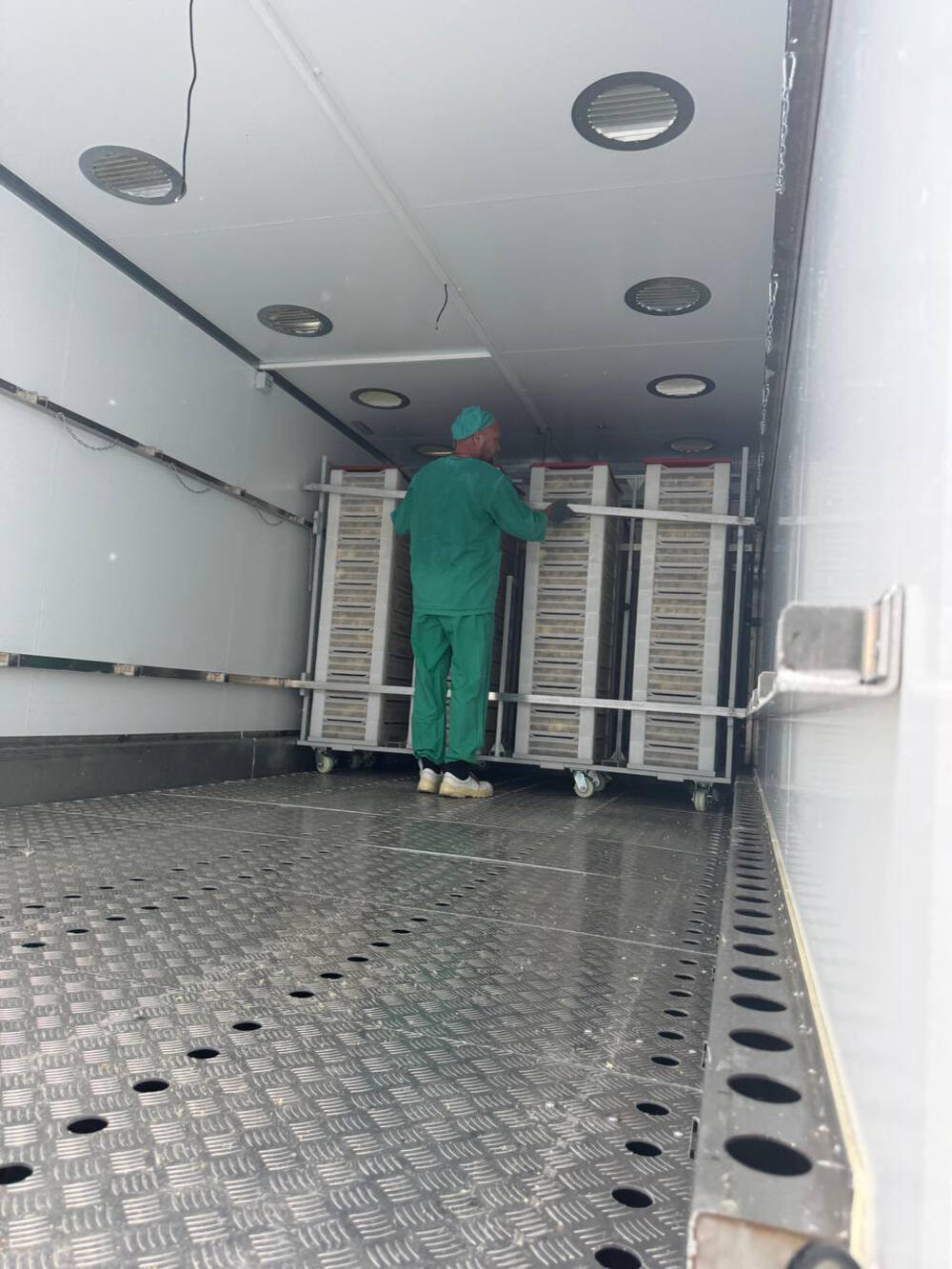 Транспортировка суточной птицы с использованием специализированного транспорта